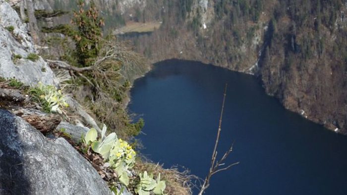 Toplitzsee – Bild von Mittermair, CC BY-SA 4.0, via Wikimedia Commons, bearbeitet von fisch-hitparade.de