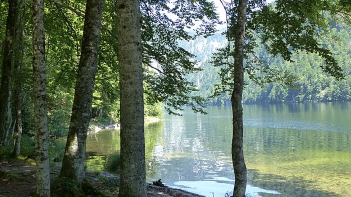 Toplitzsee – Bild von Stefan97, CC BY-SA 4.0, via Wikimedia Commons, bearbeitet von fisch-hitparade.de