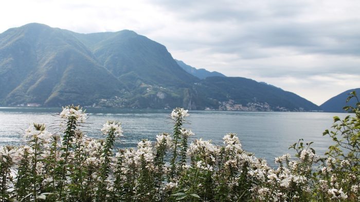 Luganersee - Bild von pb