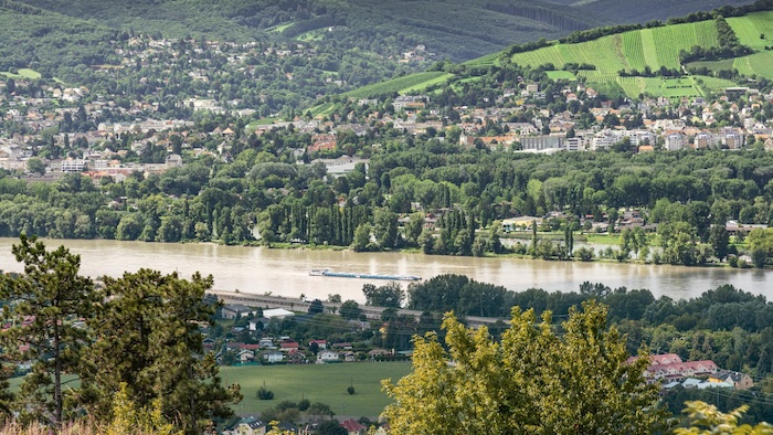 Donau Revier I/4b rechts - Bild von pb