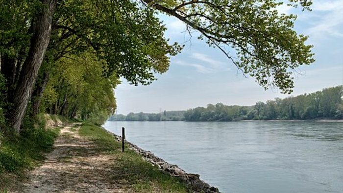 Donau bei Schönau – Bild von Stanislav Doronenko, CC BY-SA 4.0, via Wikimedia Commons