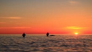 Angeln an der Ostsee