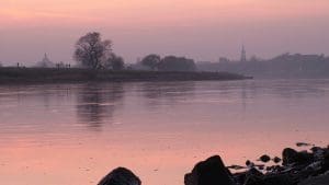 Angeln in Dresden - Elbe