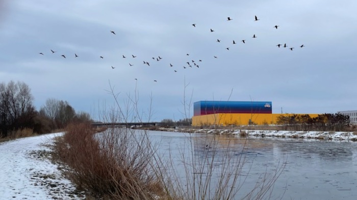 Havelkanal bei Brieselang - Bild von Jens_FHP