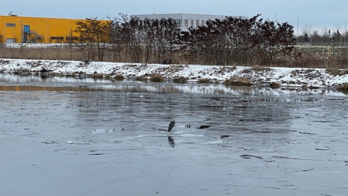 Havelkanal bei Brieselang - Bild von Jens_FHP