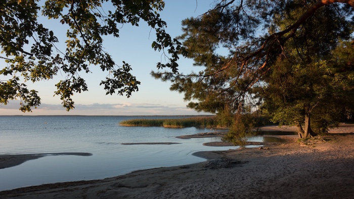 Müritz, Mecklenburgische Seenplatte angeln