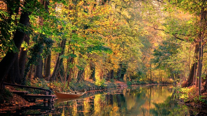 Angeln an der Spree, Angeln im Spreewald