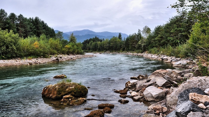 Angeln in Österreich Fluss