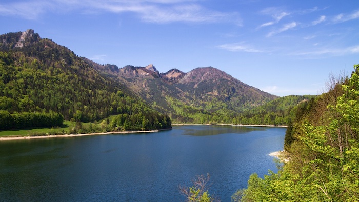 Angeln in Österreich, Schwarzense