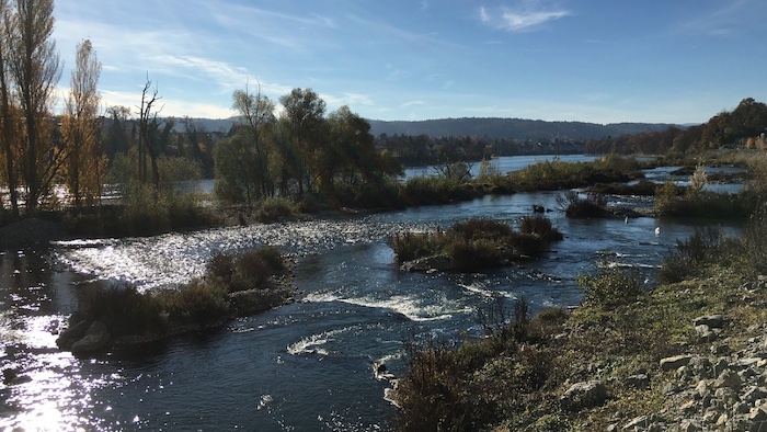 Rhein bei Rheinfelden - Bild von pb