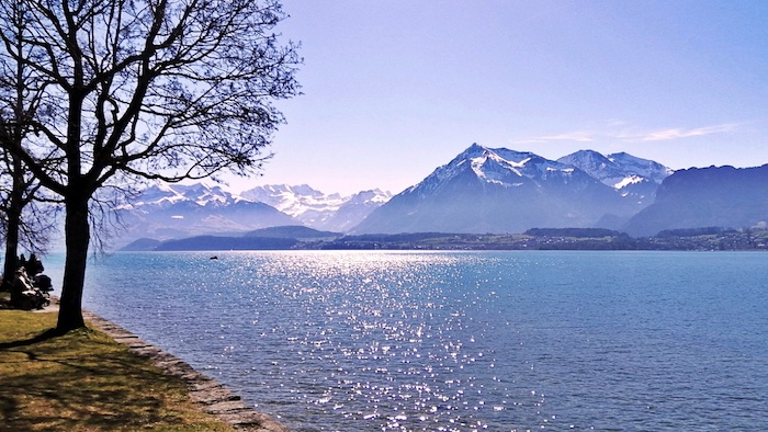 Thunersee - Bild von pb